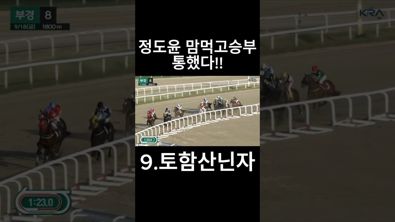 정도윤 맘먹고 승부   #경마  #경마예상  #경마방송  #경마예상방송  #서울경마  #금요경마  #토요경마  #일요경마 #경마장
