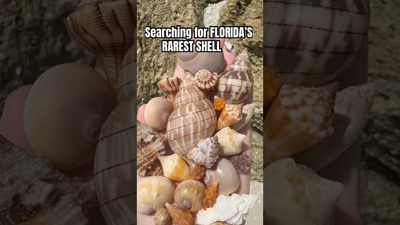 Ну вот и неожиданный поворот в конце 🫠 