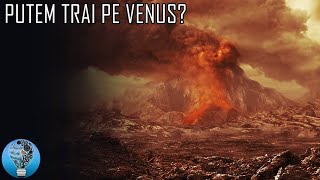 Putem Terraforma Venus?