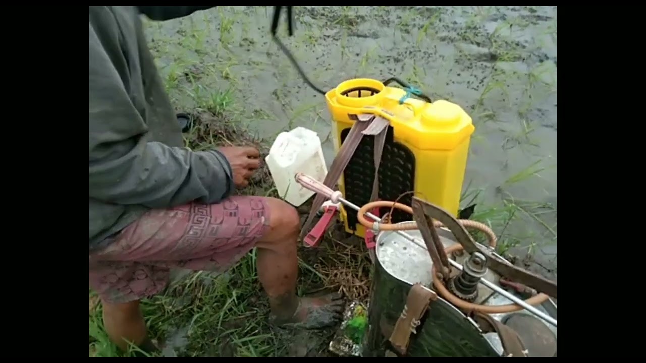 Vlog 8 buhay bukid.                                   Fb page:Ariel Unasco Tv.