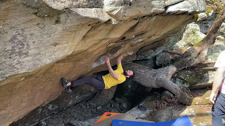 The Lorax V10~ ⭐️⭐️⭐️⭐️