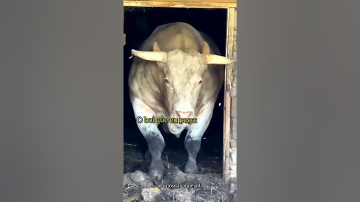 VAQUEJADA PARA STATUS ACHO QUE NÃO VOU BATER A SENHA#2022 #vaquejada #boi #cavalo #fyp
