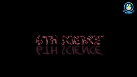 6th science playing with magnets chapter 5