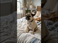 If Dogs Spoke… They’d Say This #dogpov #doglove #funnydog #doghumor #relatable #shorts #fyp