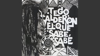 Video thumbnail of "Tego Calderon - Supongo"