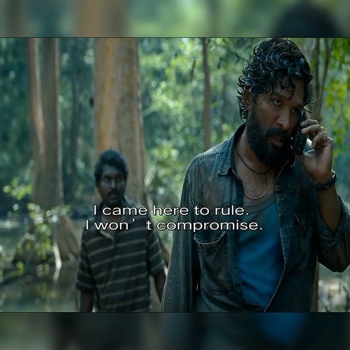 raj karne ke liye aaya hai pushpa dialogue famous #pushpa