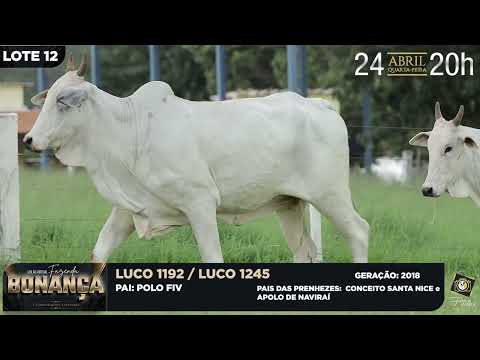 LOTE 12   LUCO 1245,1192