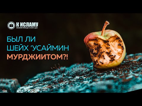 Был ли шейх ’Усаймин мурджиитом?! | К Исламу