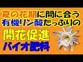 夏の花期に間に合う有機リン酸たっぷりの開花促進バイオ肥料