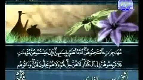 سورة الممتحنة الشيخ سعد الغامدي Al Mumtahanah