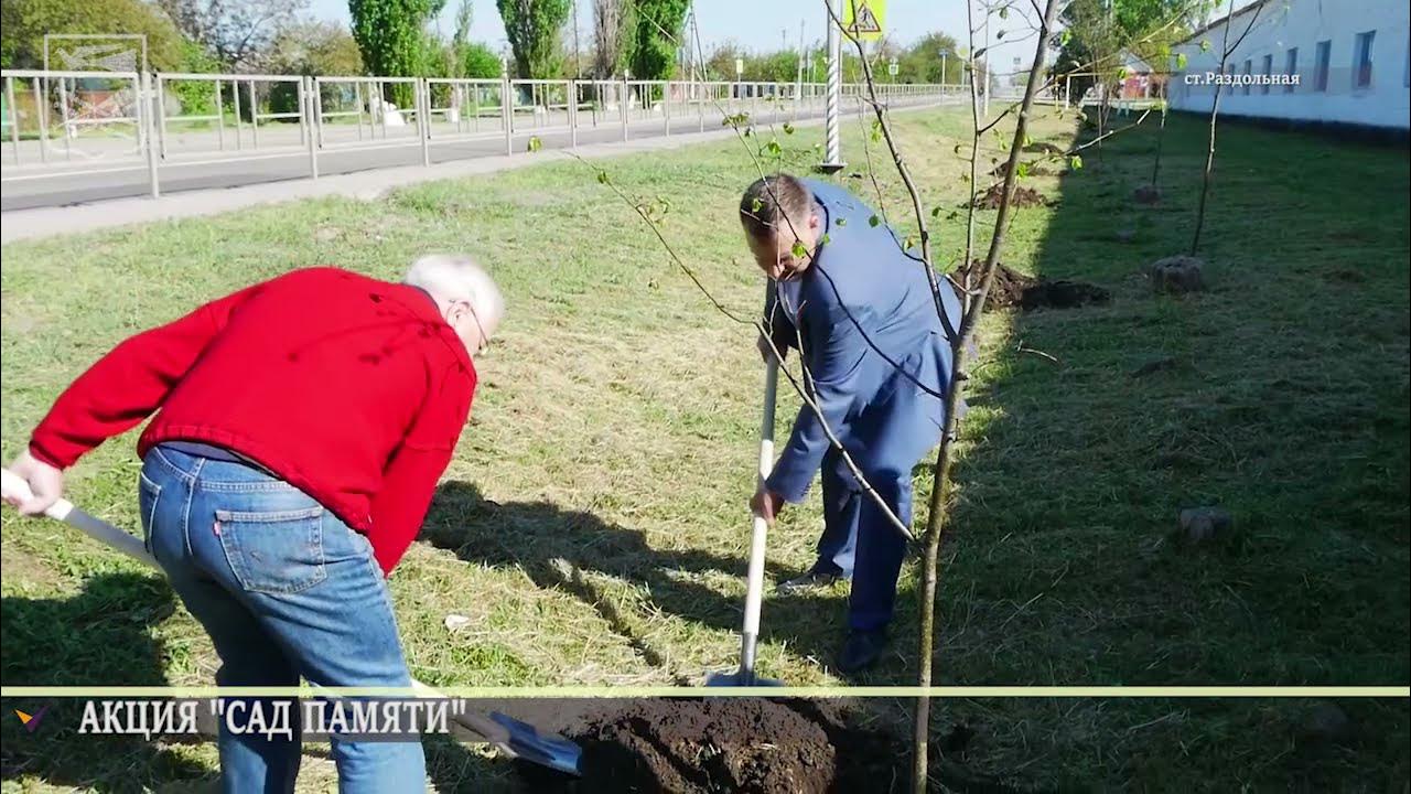 Сады кореновске. Сад грез Кореновск.