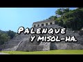 Palenque y misol-ha 🌊 Chiapas MEXICO || zona arqueológica maya.