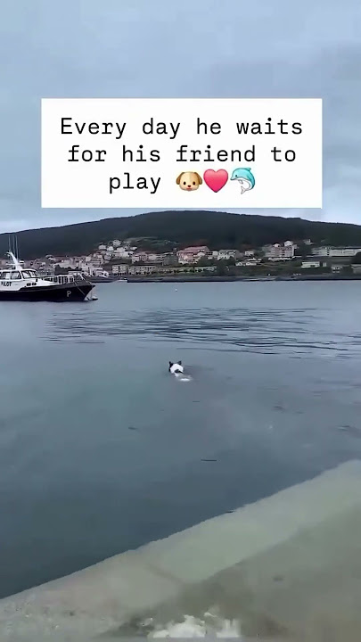 Weird Friendship here!