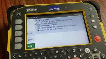 XR5000 - Sorting animals