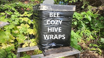 "Bee Cozy" Hive Wrap (8 november 2025)