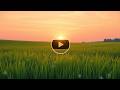 Calming Waves  Music for Restful Energy