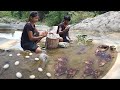 Survival in forest: Found many crabs and egg for food in forest - Crab and egg cooking for lunch