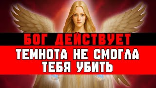 картинка: ИЗБРАННЫЕ‼️ ТЫ ДО СИХ ПОР ЖИВ — ТЕМНЫЕ КОЛДУНЫ НЕ СМОГЛИ 😤