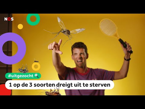 Video: Wat zijn sommige apps zoals Kik?