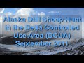 Alaska Dall Sheep Hunt in the Delta Controlled Use Area (DCUA) September 2011