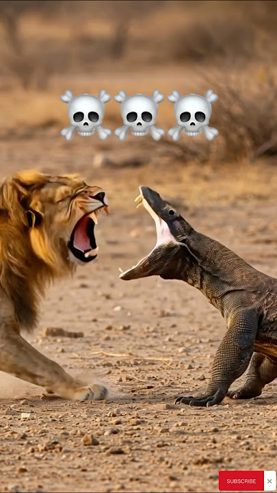 Lion vs Komodo Dragon | Which animal wins? #wildlife #hunting #lion #komodo