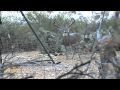 Olmos Grande hunting ranch in South Texas