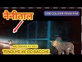 Nainital dsb college road  par dekhne mileleopardke 2 bacche  maja agaya aj night vlog 8 jan 2024