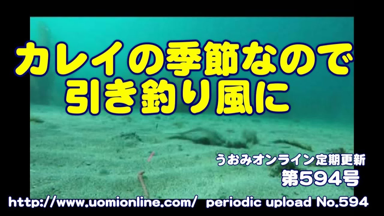 投げ釣りの要領で仕掛けを引っ張る 水中動画の定期更新no 594 Youtube