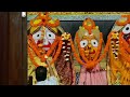 Jagannath Sandhya alati darshan shri jagannath mahaprabhu dt/22/01/2026#jagannath#puri#jagannathpuri