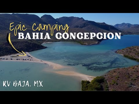 We found CHOCOLATE CLAMS at Playa Requeson! Camping Bahía Concepción (Mulegé) | Baja Sur California