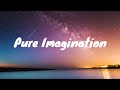 Timothée Chalamet- Pure Imagination Lyrics