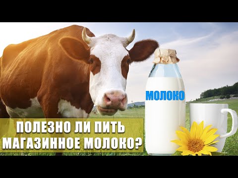 Полезно ли пить магазинное молоко? Из чего состоит молоко в пачках?