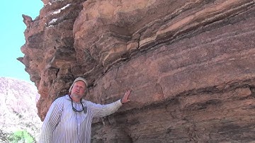 The tapeats and evidence of trace fossils