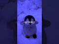Golu Molu 🥔🐧|| Cute Penguin 🐧|| Tranding ❤️‍🔥 || #shorts #lyrics #edit