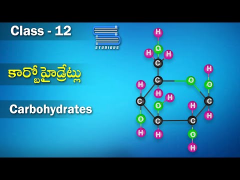 కార్బోహైడ్రేట్లు  – Carbohydrates | Biochemistry | Chemistry Telugu | Class 12 | Inter 2nd Year
