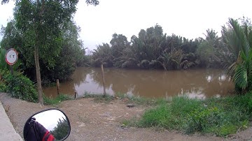 Hướng dẫn đường đi vào bãi cá tra, trê ở xã Tân Bửu, Bến Lức, Long An