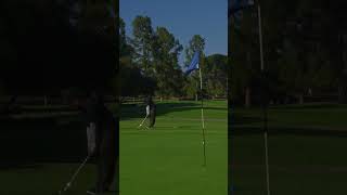 Low spinner chip-in #golf #golfshot #shortgame
