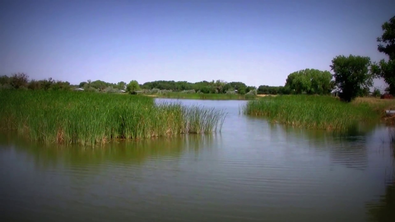 Campground Review Bosque Redondo Lake, Fort Sumner, New Mexico YouTube
