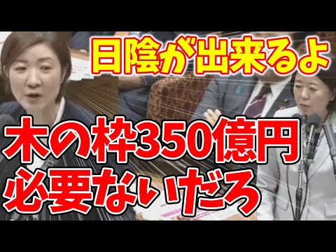 【木の枠350億】限られた時間の中で目一杯質問する大石議員。介護職の賃上げはしょぼいのに万博の木の枠高すぎない？ #れいわ新選組 #大石あきこ#自見大臣