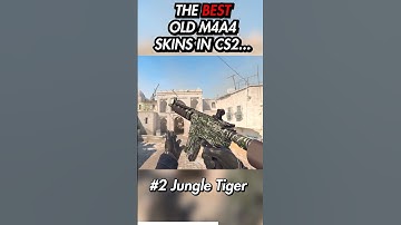 THESE FORGOTTEN M4A4 SKINS LOOK 🔥 IN CS2... Can YOU name them?