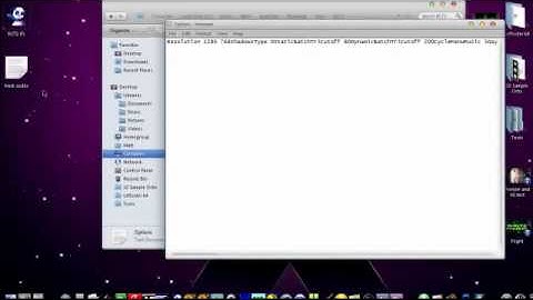 RCT3- How to change the options .TXT file