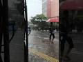 #heavyrain #walkingaround #rainviralvideo