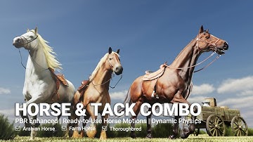 Horse & Tack Combo | Realistic 3D Horse Models and Motions for iClone