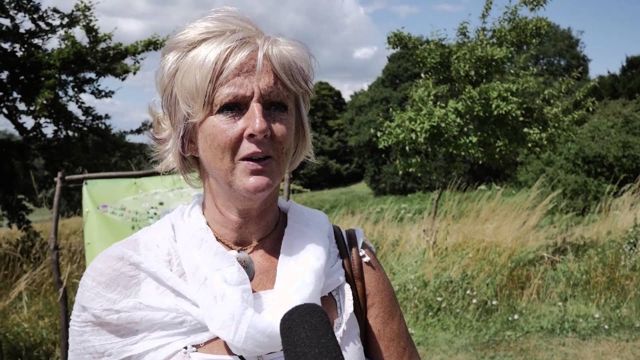 Peace in the Park 2015