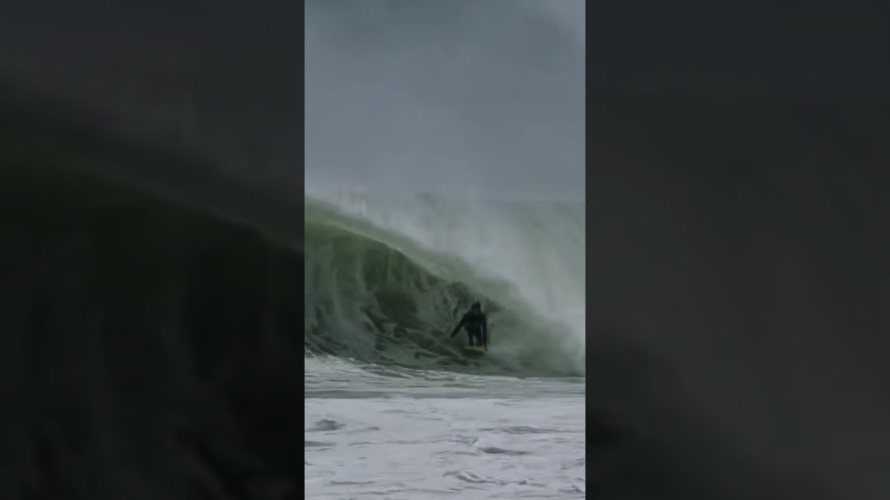 Clips