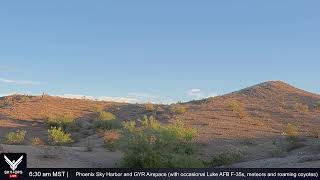 Phoenix nature camera — live view