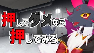 【押してダメなら押してみろ】ポチポチポチポチ！！【#Vtuber】