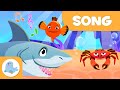 Motion in the Ocean Quiz