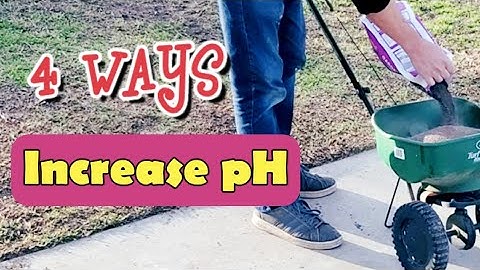 How To Raise Soil pH In The Lawn // Which Lime To Use & How Much