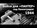 Бойня для "Пантер" под Ленинградом. 1944 г.